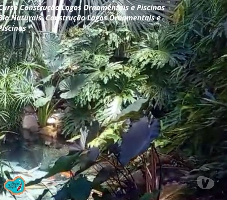 Capacitação profissional Araucaria PR - Fotos para Curso Construção Lago Ornamentais Aulas Online Certificado