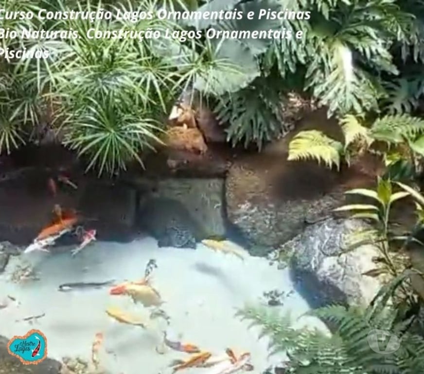 Capacitação profissional Araucaria PR - Fotos para Curso Construção Lago Ornamentais Aulas Online Certificado