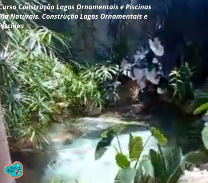 Capacitação profissional Araucaria PR - Fotos para Curso Construção Lago Ornamentais Aulas Online Certificado