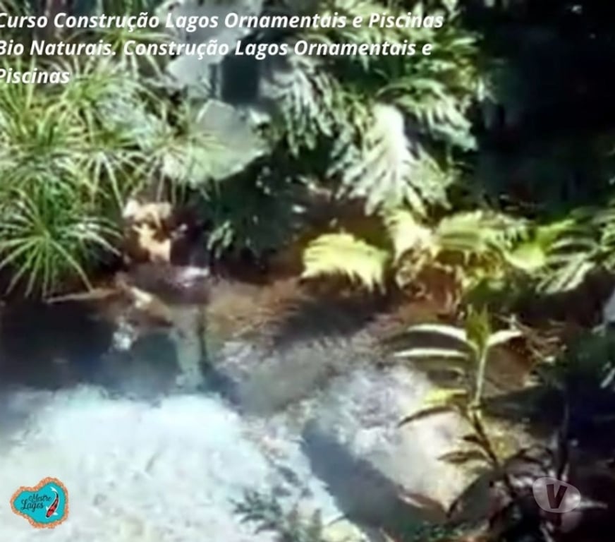Capacitação profissional Araucaria PR - Fotos para Curso Construção Lago Ornamentais Aulas Online Certificado