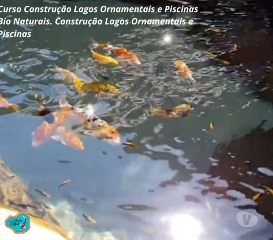 Capacitação profissional Araucaria PR - Fotos para Curso Construção Lago Ornamentais Aulas Online Certificado