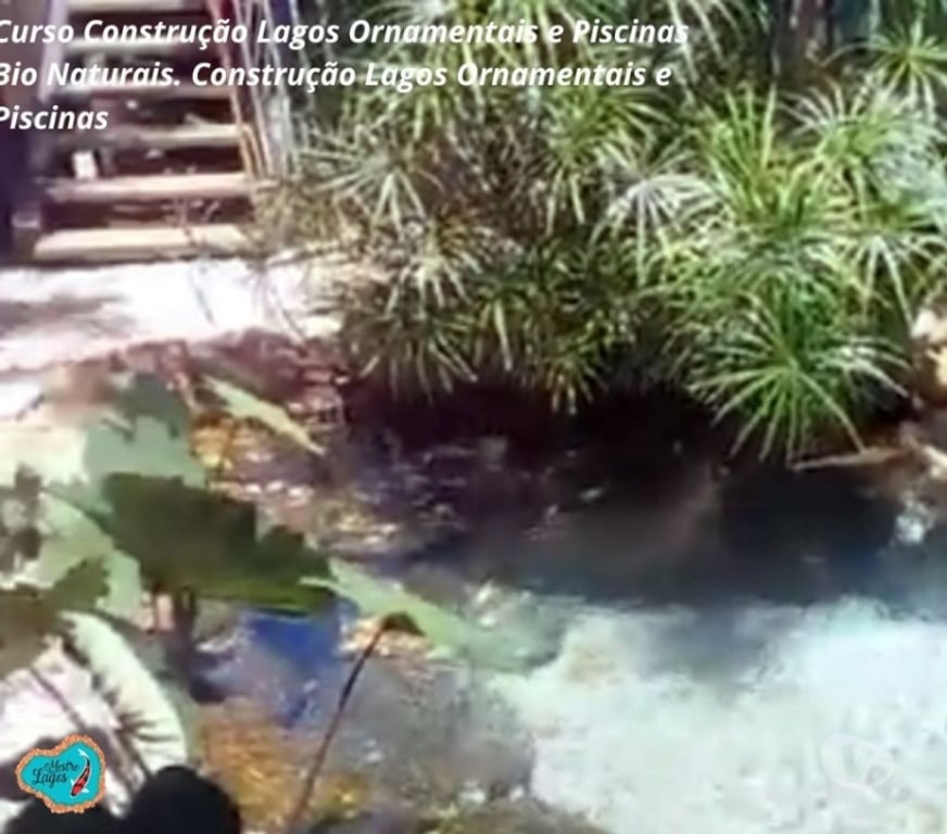 Capacitação profissional Araucaria PR - Fotos para Curso Construção Lago Ornamentais Aulas Online Certificado