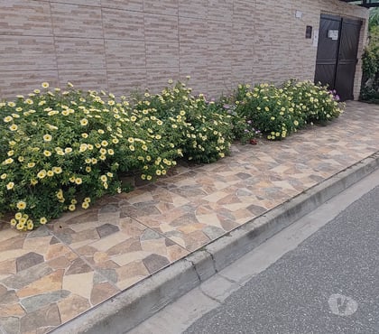 Aluguel temporada - Fotos para Praia Natal e Ano Novo com vagas na ilha Comprida