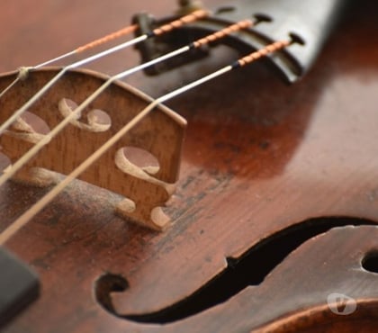 Aulas Música - Teatro-Dança - Fotos para Aula de Violino Particular - Em Campinas SP