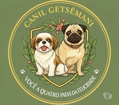 Animais estimação à venda - Fotos para Filhotes de Shitzu