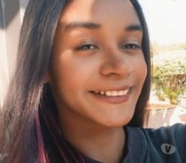 Acompanhante virtual