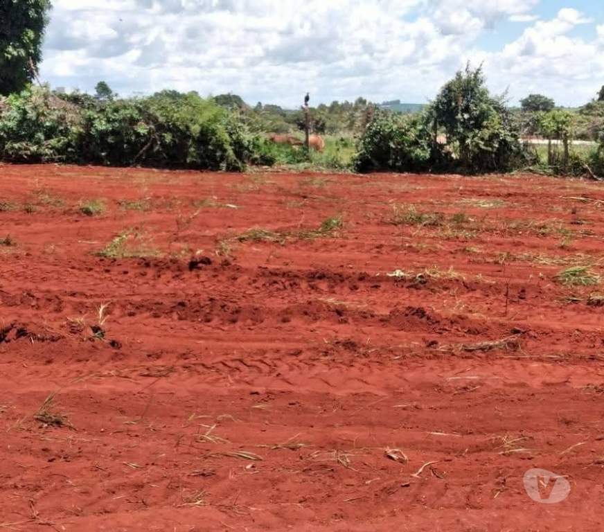Terrenos Piumhi MG - Fotos para Lote 2 Próximo a Capitólio