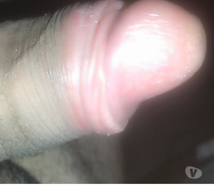 Encontros Sexuais - Fotos para Sexo casual gostoso