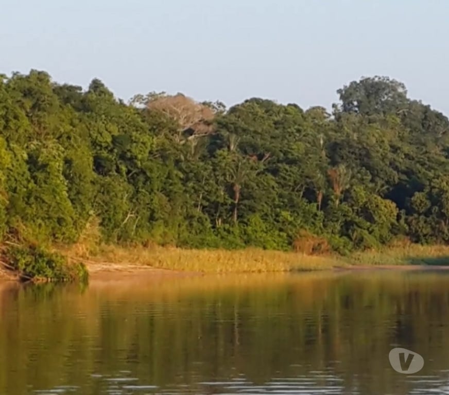 Fazendas - Sitios à venda Tefe AM - Fotos para VENDO 6.404,7061 HECTARES DE ÁREA RURAL EM TEFÉ AMAZONAS