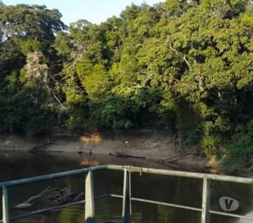 Fazendas - Sitios à venda Tefe AM - Fotos para VENDO 6.404,7061 HECTARES DE ÁREA RURAL EM TEFÉ AMAZONAS