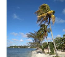 Vendo Terreno com 2 casas