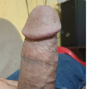 Encontros Sexuais - Fotos para Pica p vc chupar