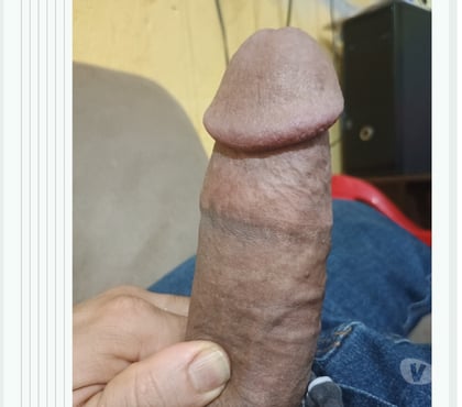 Encontros Sexuais - Fotos para Pica p vc chupar agora