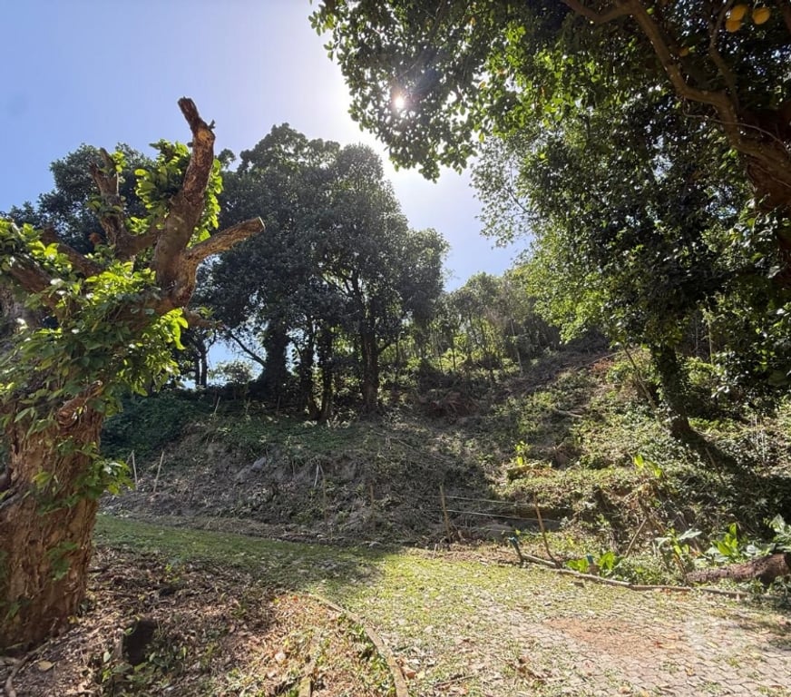 Terrenos Rio de Janeiro RJ Itanhanga - Fotos para Terrenos 2.000m² - Estrada do Itajuru - Itanhangá