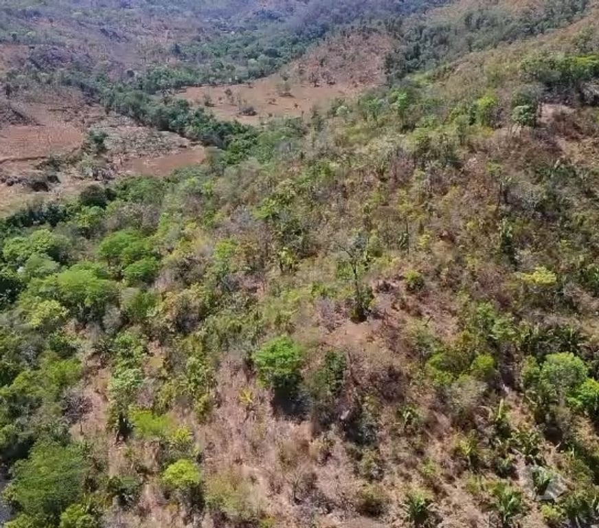 Fazendas - Sitios à venda Cavalcante GO - Fotos para FAZENDA À VENDA - 171 HECTARES - POVOADO SÃO JOSÉ