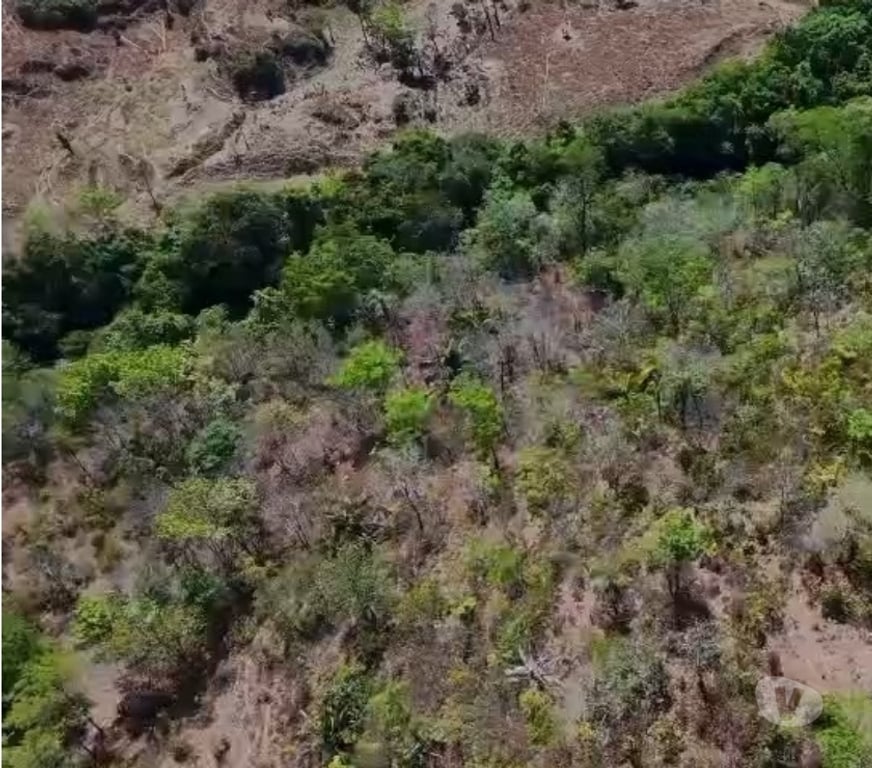 Fazendas - Sitios à venda Cavalcante GO - Fotos para FAZENDA À VENDA - 171 HECTARES - POVOADO SÃO JOSÉ