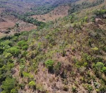 Fazendas - Sitios à venda - Fotos para FAZENDA À VENDA - 171 HECTARES - POVOADO SÃO JOSÉ