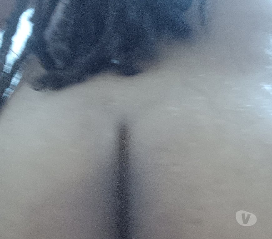 Homem procura Homem Salvador BA Mares - Fotos para VEM ME FAZER FEMIA