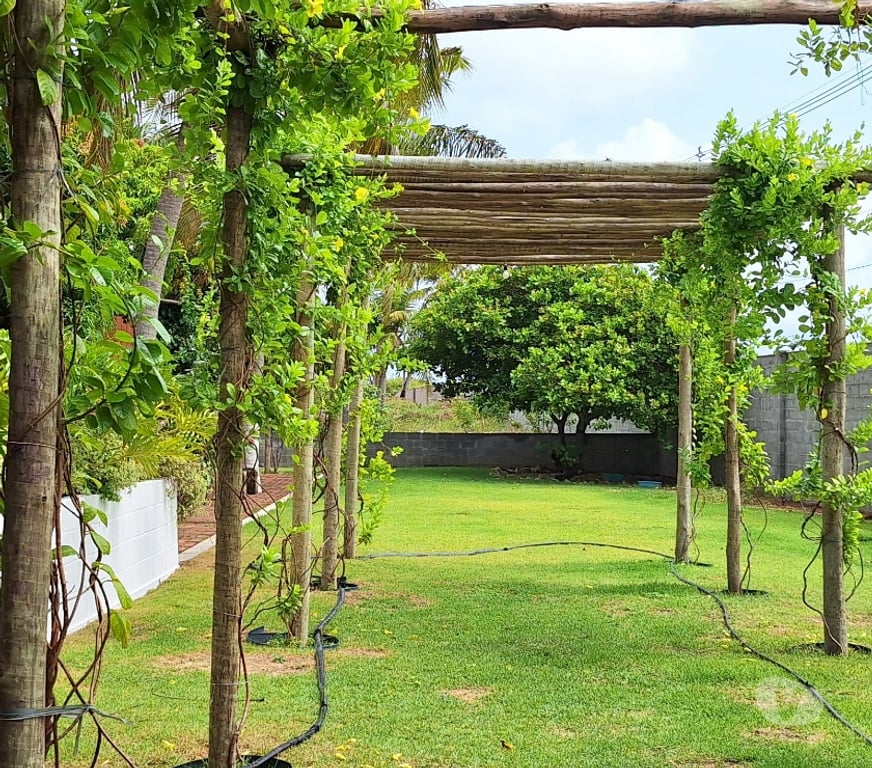 Terrenos Sao Miguel RN - Fotos para Lotes em São Miguel