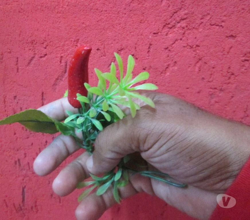 Encontros Casuais Marica RJ - Fotos para Procuro sexo ardente com homem ativo de Maricá !