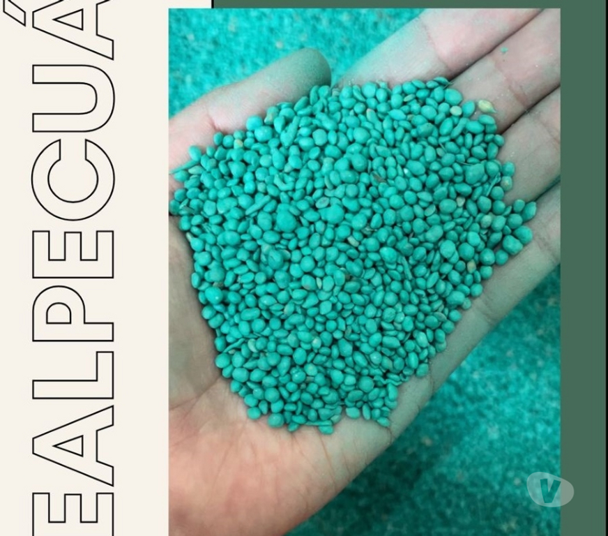 Alimentação Pecuária - Grãos Regente Feijo SP - Fotos para SEMENTES DE GRAMA BATATIS INCRUSTADAS