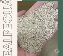 SEMENTES DE GRAMA BERMUDAS