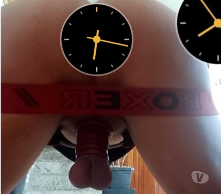 Encontros Casuais Belo Horizonte MG Outros Bairros Belo Horizonte MG - images_alt_text Faço todos fetiches sem frescura. Pig pet e faxina