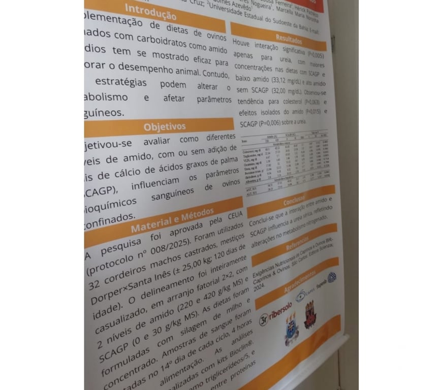 Outros serviços Salvador BA Centro de Salvador - images_alt_text Banner para congresso 90x120 cm ! Assistente social