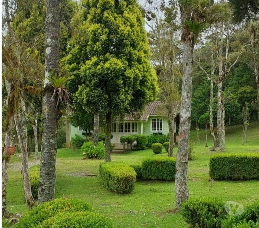 Fazendas - Sitios à venda Rancho Queimado SC - Fotos para Sítio à Venda em Rancho Queimado