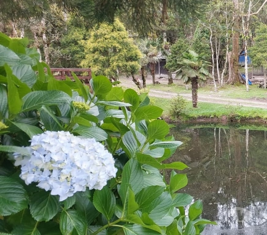 Fazendas - Sitios à venda Rancho Queimado SC - Fotos para Sítio à Venda em Rancho Queimado