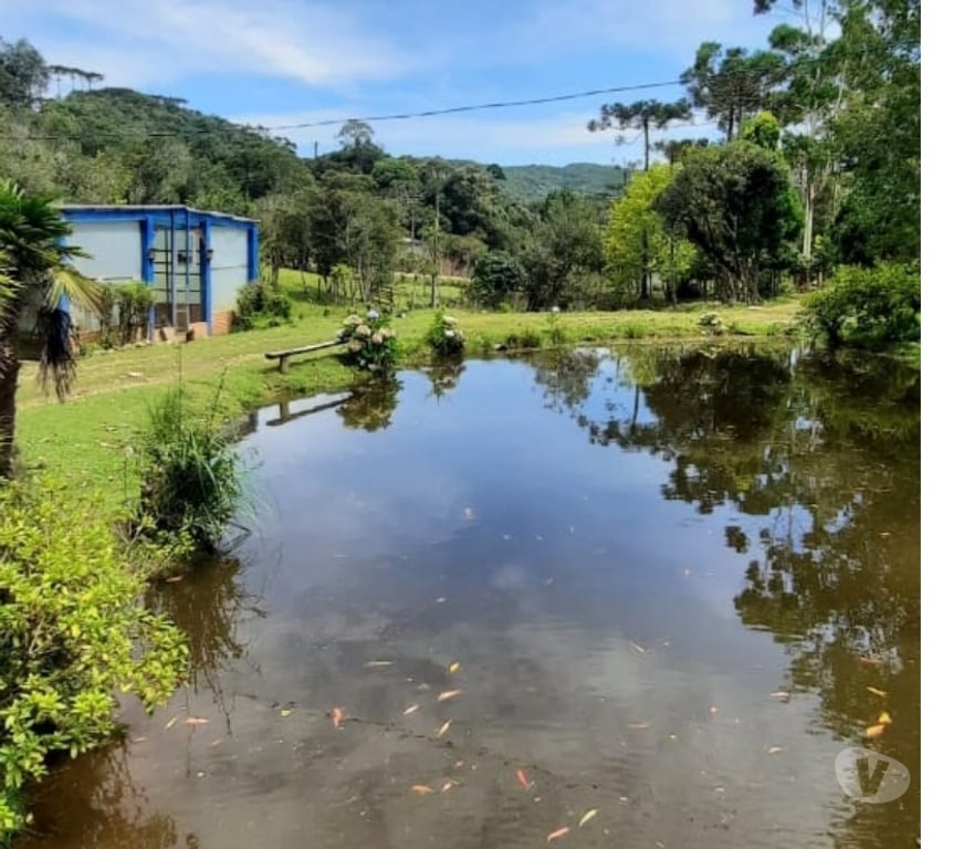 Fazendas - Sitios à venda Rancho Queimado SC - Fotos para Sítio à Venda em Rancho Queimado