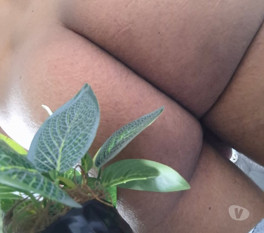 Encontros Casuais Salvador BA Amaralina - Fotos para EM SALVADOR (BA) - DESGUSTADOR DE GALA QUENTE!