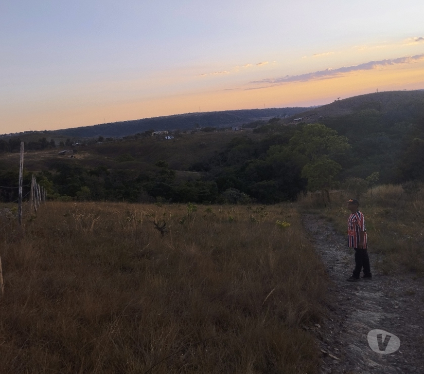 Fazendas - Sitios à venda aguas Lindas de Goias GO - Fotos para Chácara em águas lindas de setor caravelas