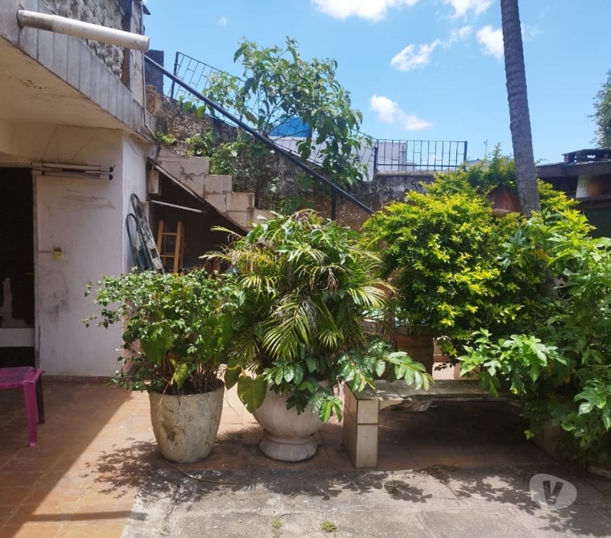 Terrenos Grande Sao Paulo SP Santo André - Fotos para Terreno plano venda em Sacadura Cabral, Santo André 450m²