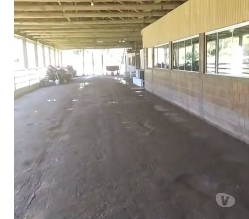 Fazendas - Sitios à venda Angelina SC - Fotos para Um pedacinho do paraíso bom preço