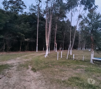Fazendas - Sitios à venda - Fotos para Um pedacinho do paraíso bom preço