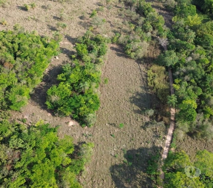 Terrenos Belo Horizonte MG Outros Bairros Belo Horizonte MG - Fotos para 🌿 Fazendinhas à Venda em Mateus Leme – MG