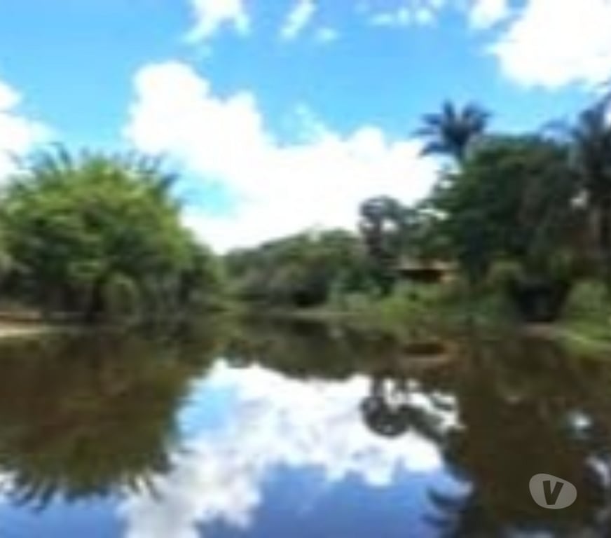 Terrenos Belo Horizonte MG Outros Bairros Belo Horizonte MG - Fotos para 🌿 Fazendinhas à Venda em Mateus Leme – MG