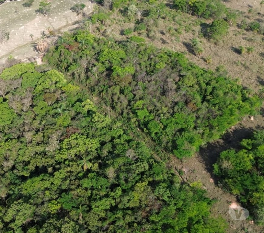 Terrenos Belo Horizonte MG Outros Bairros Belo Horizonte MG - Fotos para 🌿 Fazendinhas à Venda em Mateus Leme – MG