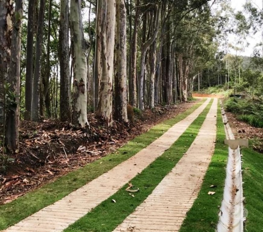 Terrenos Petropolis RJ - Fotos para Terrenos a venda Brejal-Posse-Petrópolis RJ