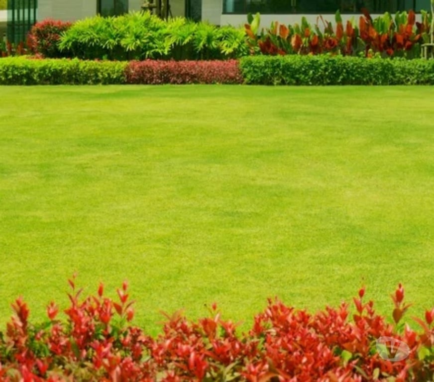 Outros serviços Ibiuna SP - Fotos para Serviços de jardinagem e limpeza de piscina em Ibiúna