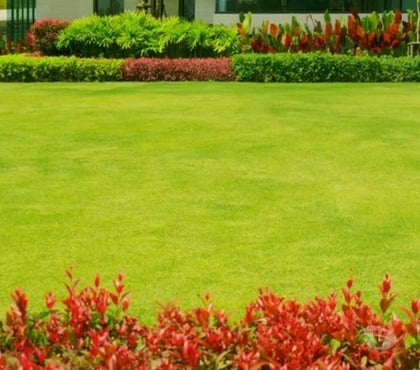 Outros serviços - Fotos para Serviços de jardinagem e limpeza de piscina em Ibiúna