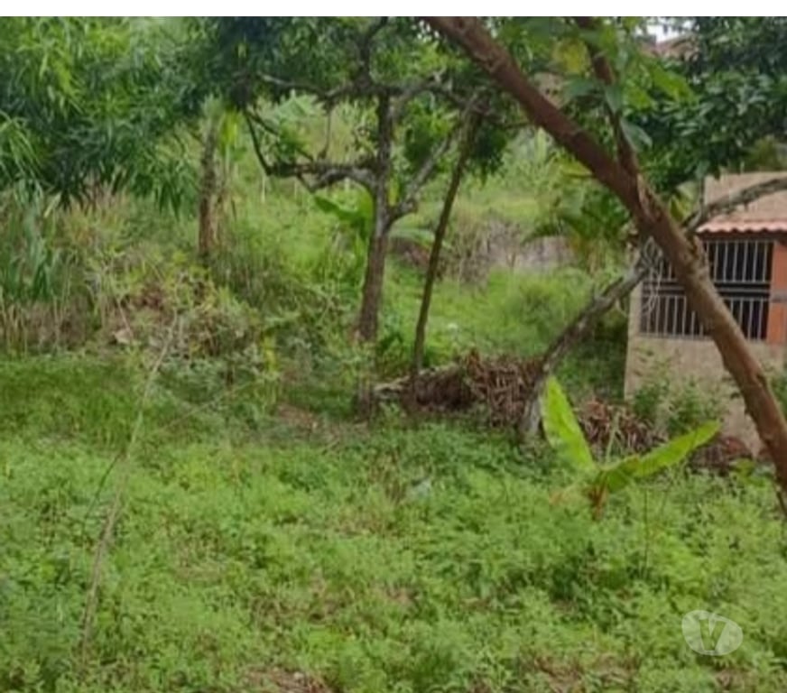 Terrenos Itabuna BA - Fotos para Venda de dois terrenos