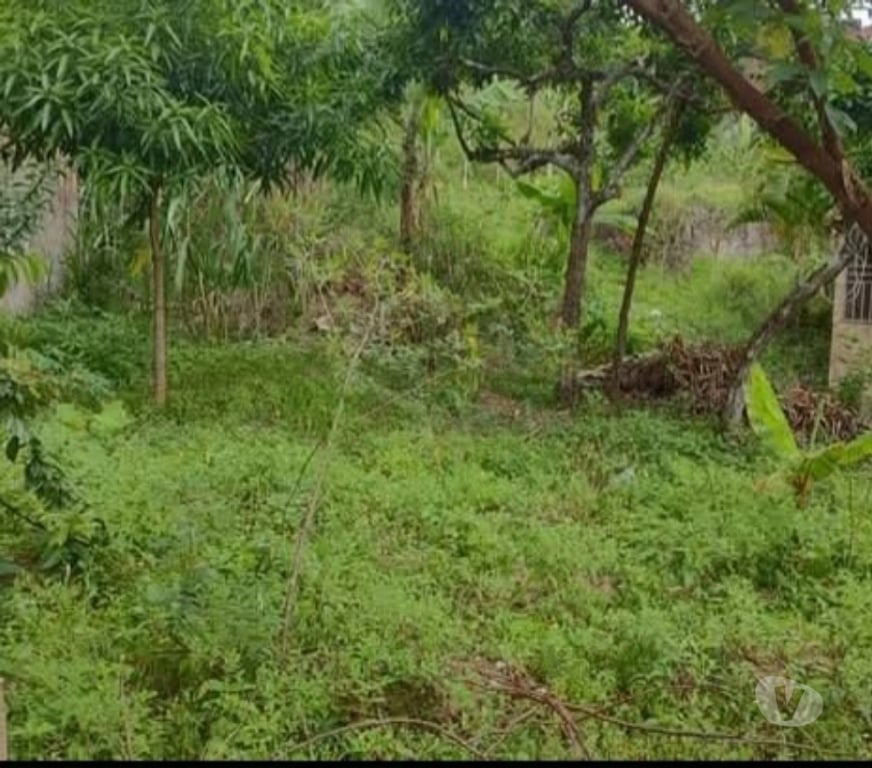 Terrenos Itabuna BA - Fotos para Venda de dois terrenos