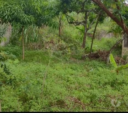 Lotes - Fotos para Venda de dois terrenos