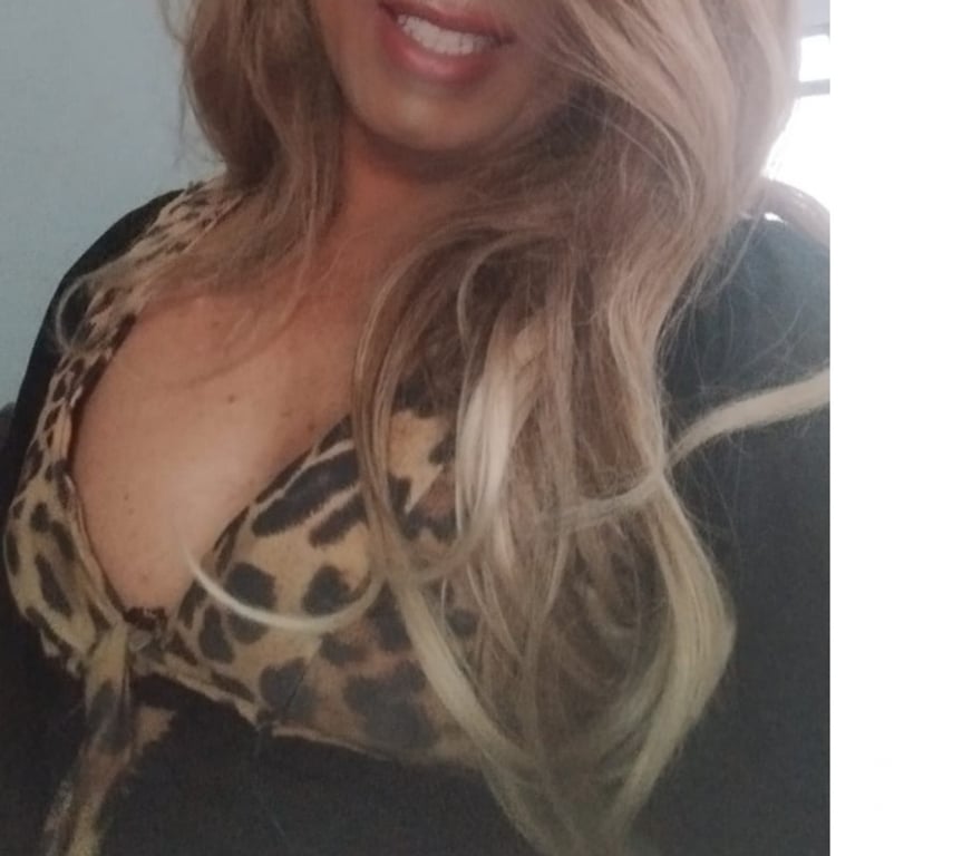 Encontros Casuais Sertaozinho SP - Fotos para Pamela CDzinha procura