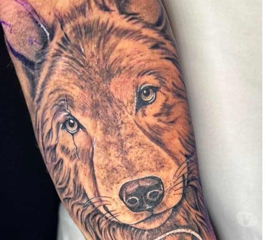 Acompanhantes masculinos Canoas RS - Fotos para Desejo; Mistério, Atração e Conexão.....