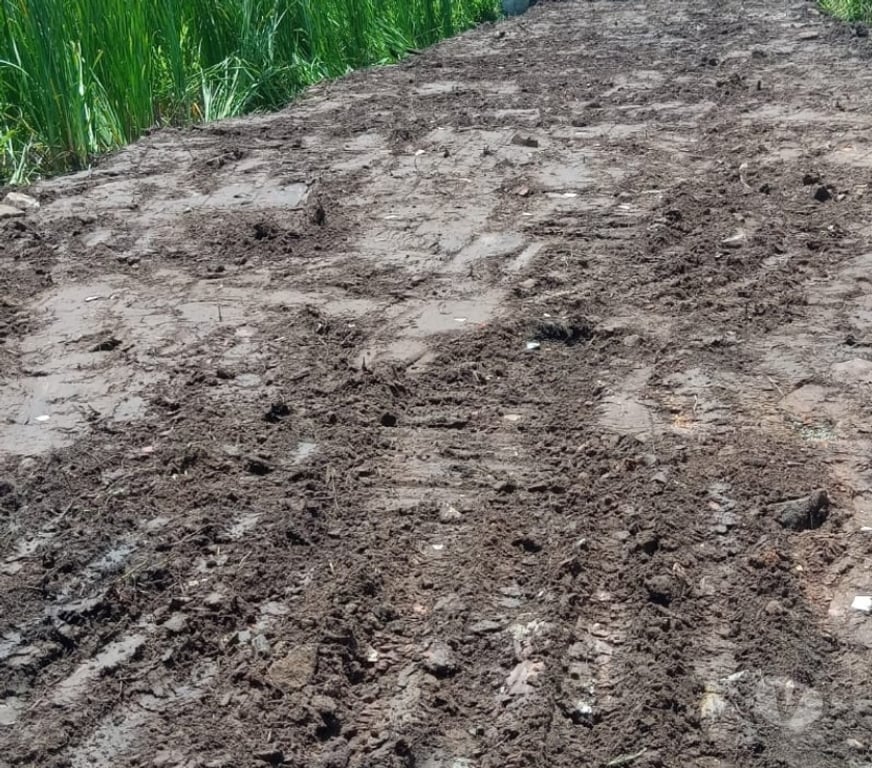 Terrenos Itanhaem SP - Fotos para Venda de terreno