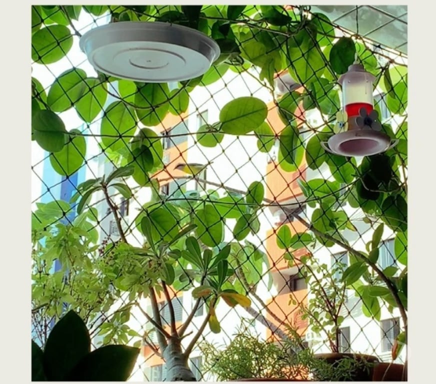 Apartamentos a venda Joao Pessoa PB João Pessoa Leste - Fotos para apto p-vender c-101 m², c-03 qtos, s-02 sts, c-pisc-tambaú