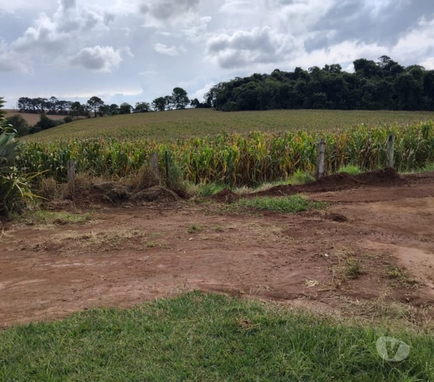 Fazendas - Sitios à venda Tuiuti SP - Fotos para Vendo 08 alqueires